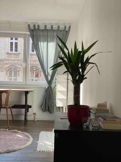 Apartamento Dream Of Belvedere Viena