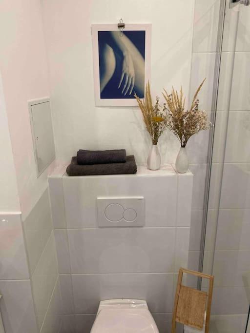 Dream Of Belvedere Apartamento Viena